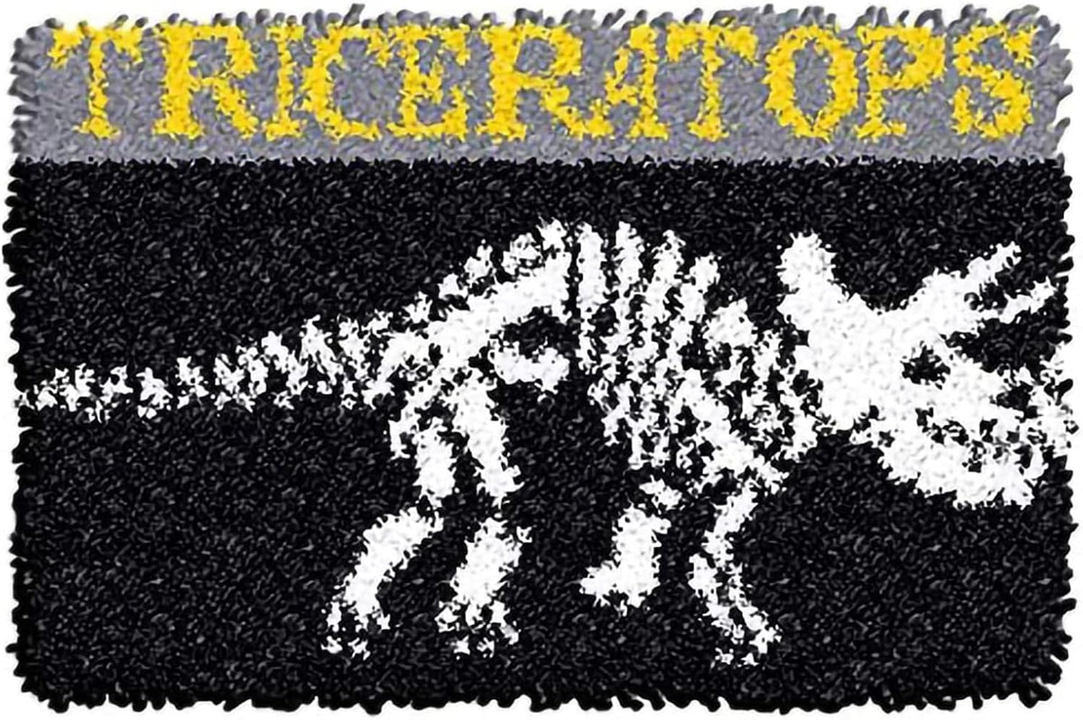 Latch Hook Rug Kit, Sunflower Pattern Printed Canvas DIY Rug Crochet Yarn Kits, Embroidery Decoration 20.4 X 20.4 (52 * 52cm)