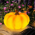 WONDHOME Solar Pumpkin Lights Garden Statues Outdoor Fall Decor Thanksgiving Halloween Decorations for Porch Terrace Yard Lawn Patio